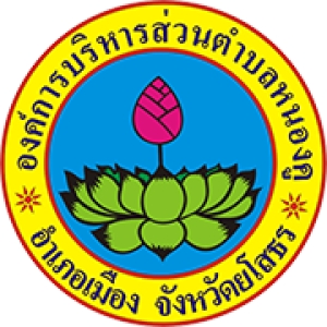 ประกาศองค์การบริหารส่วนตำบลหนองคู เรื่อง งบแสดงฐานะทางการเงิน และงบอื่น ๆ ประจำปีงบประมาณ พ.ศ.2565